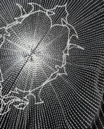 DavrilSupply Mirror Jacket (4)