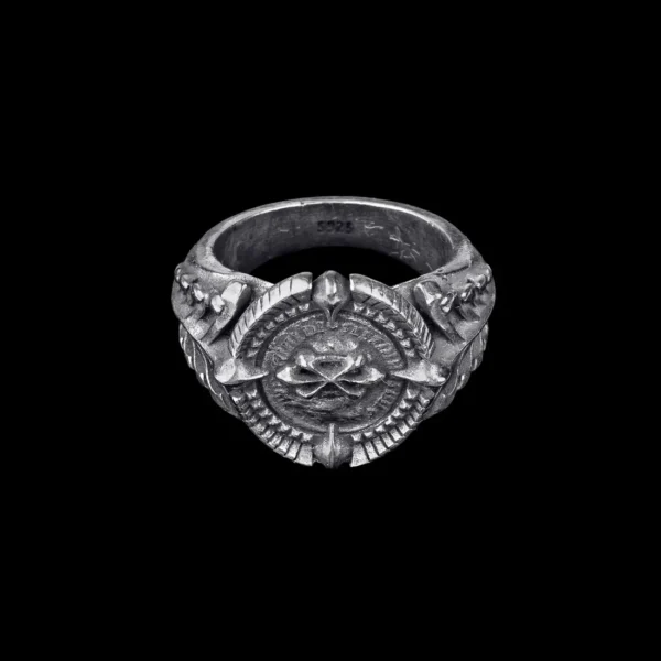 DavrilSupply Bague en monnaie