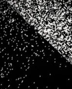 Tricot DavrilSupply Black Stardust (4)